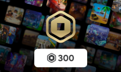 Roblox - VNG
